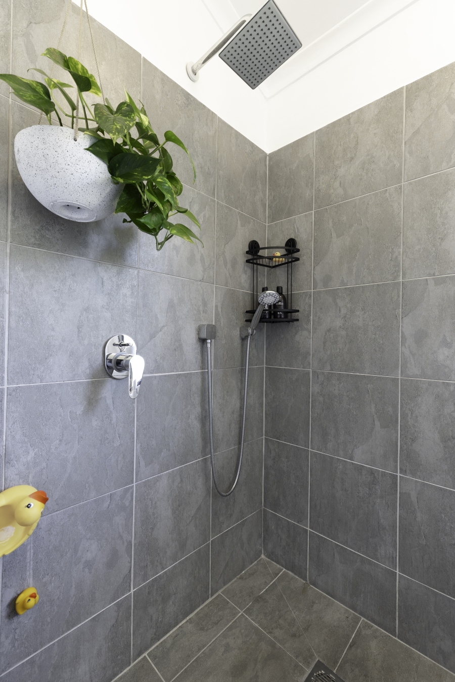 To Let 2 Bedroom Property for Rent in Fish Hoek Western Cape